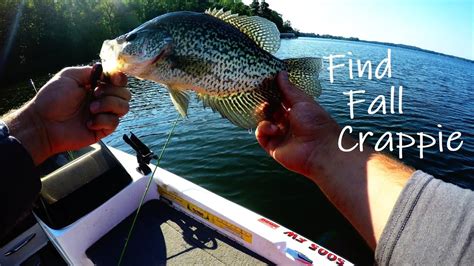 5 Fishing Tips Of The Day Youtube 5 Fishing Tips Of The Day Youtube