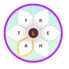 5 Blossom Game Answers