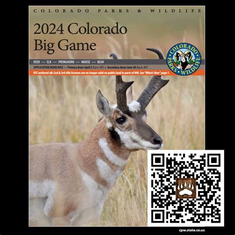 5 Big Game Tips