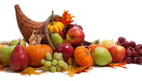 Cornucopia of Abundance