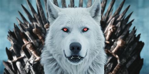 5 Dire Wolves Facts