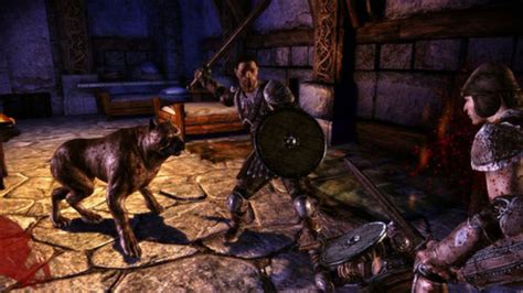 Dragon Age Origins Tips And Tricks A Starting Guide For Dragon Age Dragon Age Origins Tips And Tricks A Starting Guide For Dragon Age