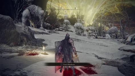 Elder Ring Youtube Elder Ring Youtube