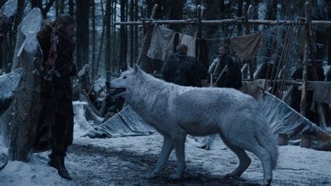 5 Direwolf Facts 5 Direwolf Facts