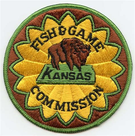 5 Kansas Fish Games