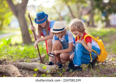Kids Explore Nature Children Hike In Sunny Park Stock Photo Image Of