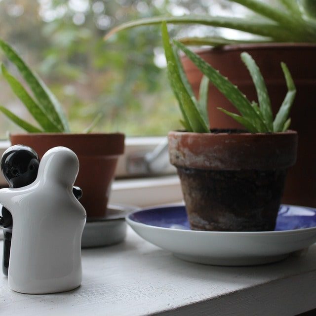 Meaning And Uses Of The Ruby In Feng Shui