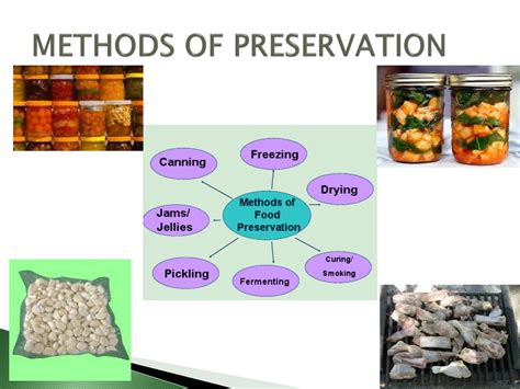 Methods Of Preserving Cereals And Legumes At Robert Dempsey Blog Methods Of Preserving Cereals And Legumes At Robert Dempsey Blog