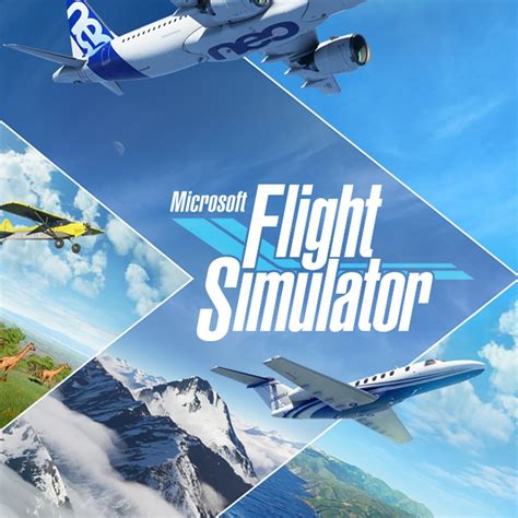 Microsoft Flight Simulator Experience