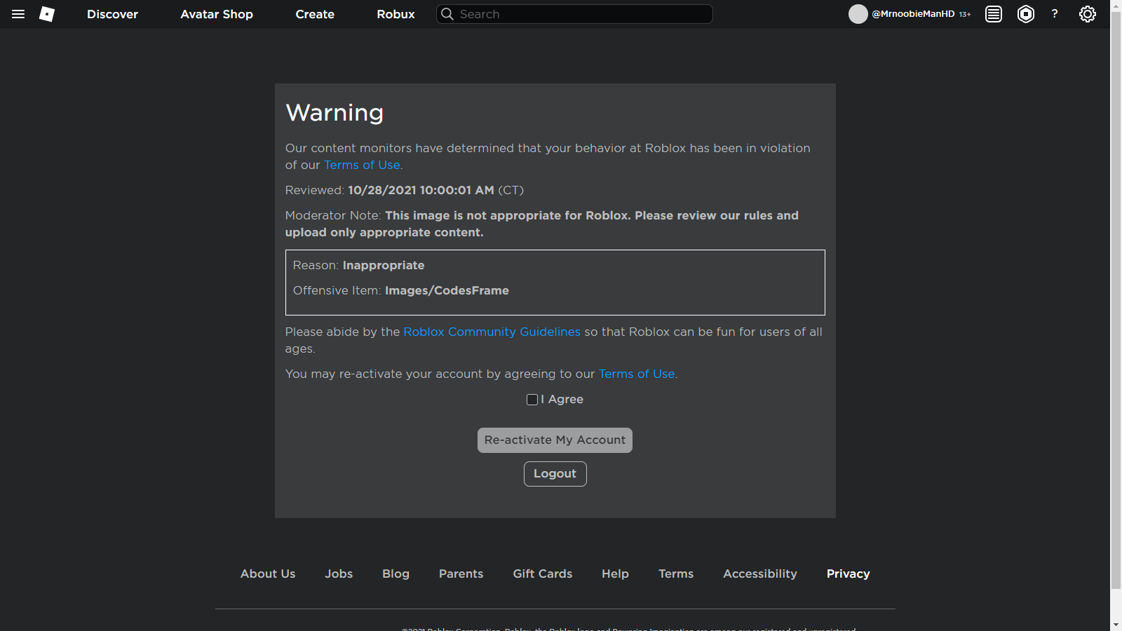 Moderation Guide for Roblox
