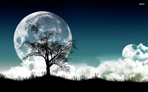 Moonlighte Services