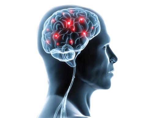 Neuro Health Solutions
