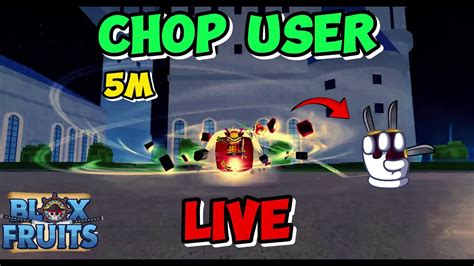 5 Roblox Support Tips