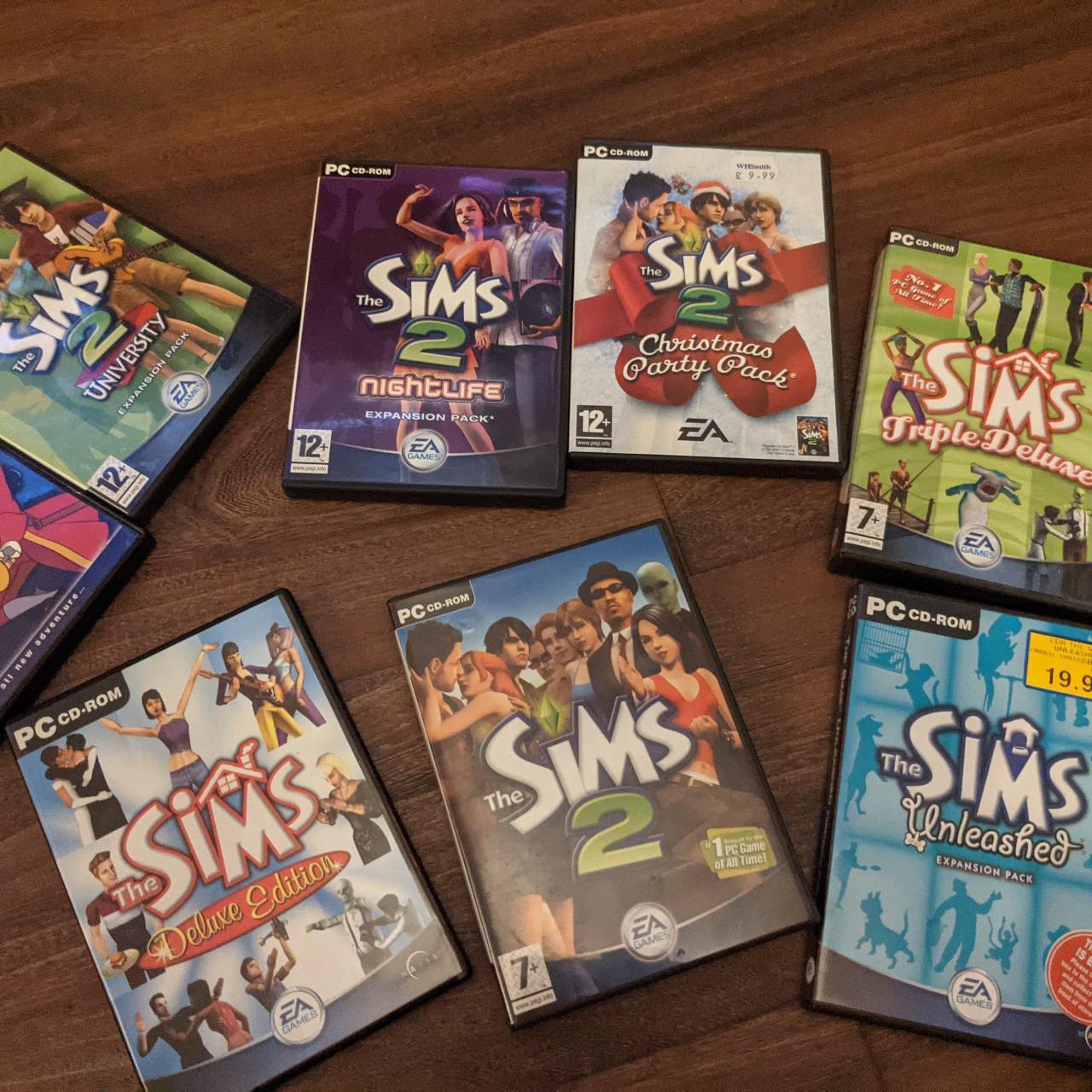 Sims Computer Games Fun