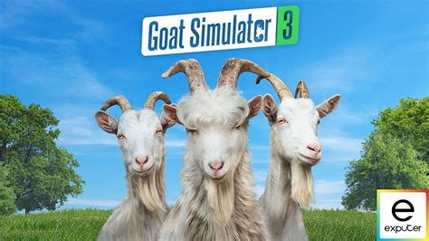 5 Simulator Tips