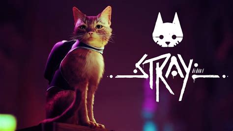 Stray Stray