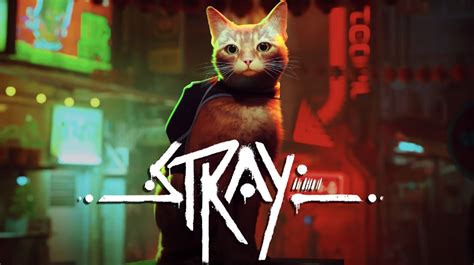 5 Stray Game Tips