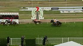 Thoroughbred Barrier Reef Pools Qtis Three Year Old Maiden Plate 1240M Thoroughbred Barrier Reef Pools Qtis Three Year Old Maiden Plate 1240M