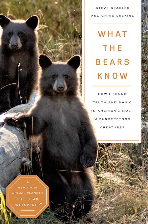 What the Bear Means